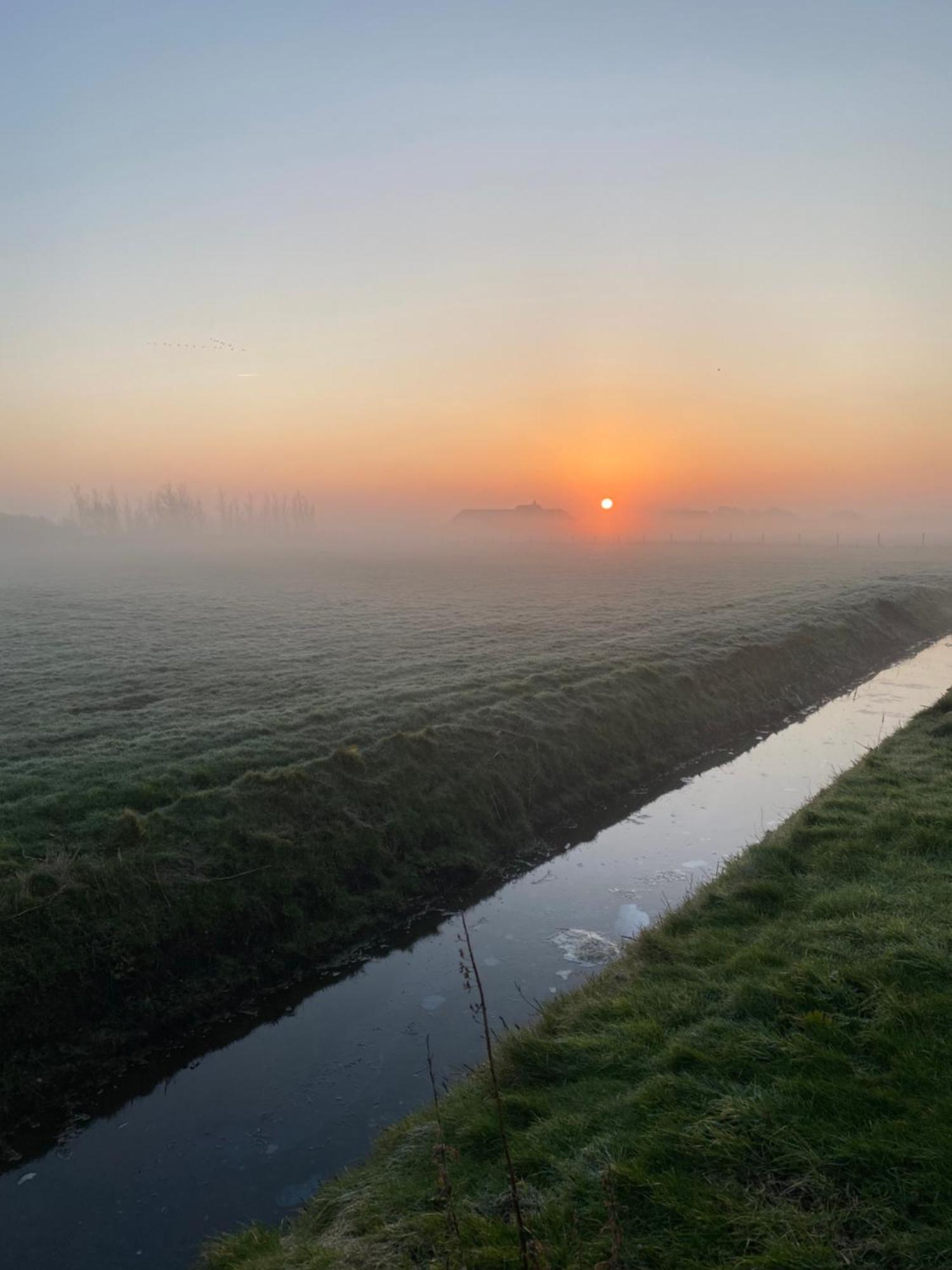 Oomes Huus Haestens And Koffie Den Hoorn  Exterior foto