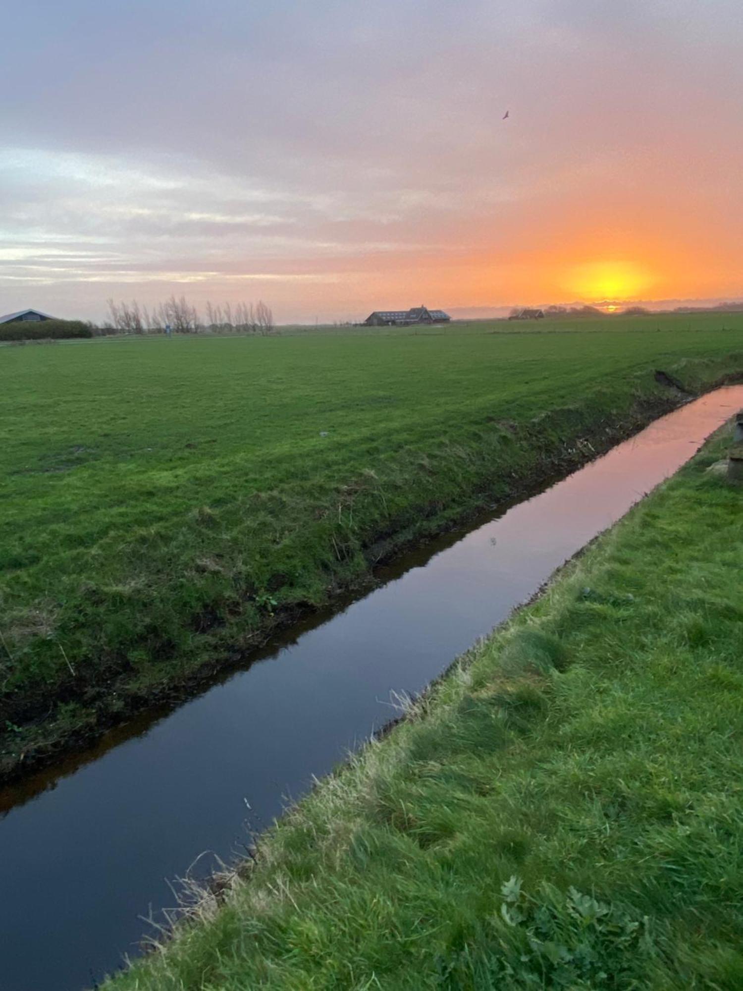 Oomes Huus Haestens And Koffie Den Hoorn  Exterior foto